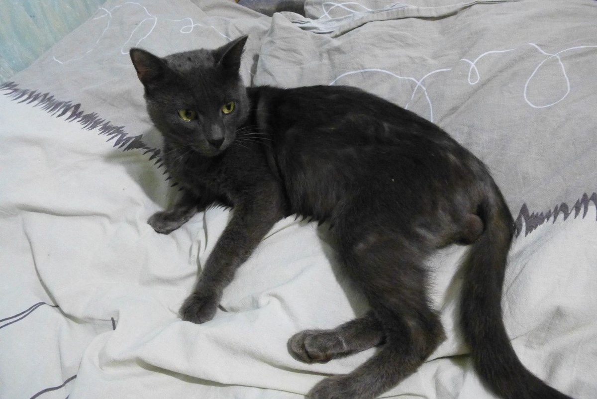 Макс только что ко мне приехал