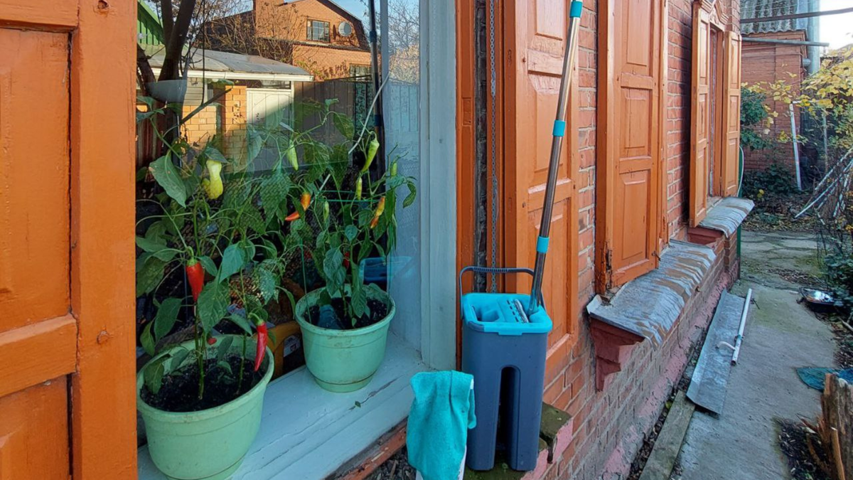 Мойка окон. Весенняя генеральная уборка. 