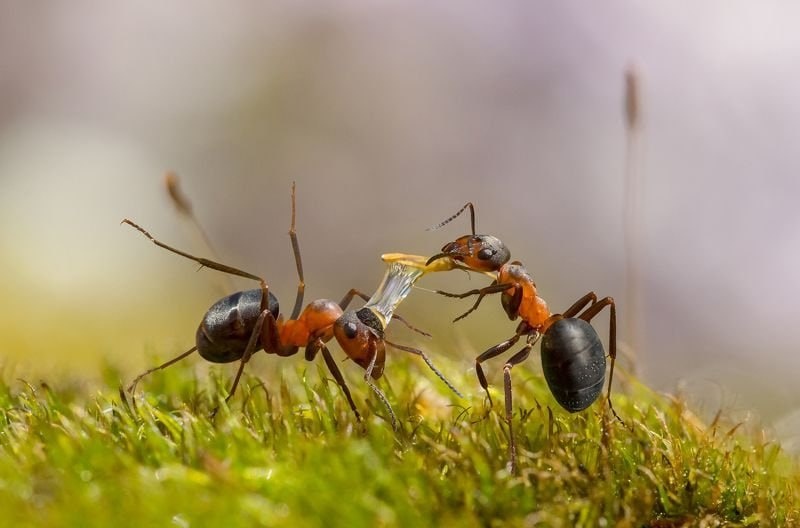 Люблю находить интересные картинки. Сохраняю их к себе в галерею, а потом делюсь ими в статьях)