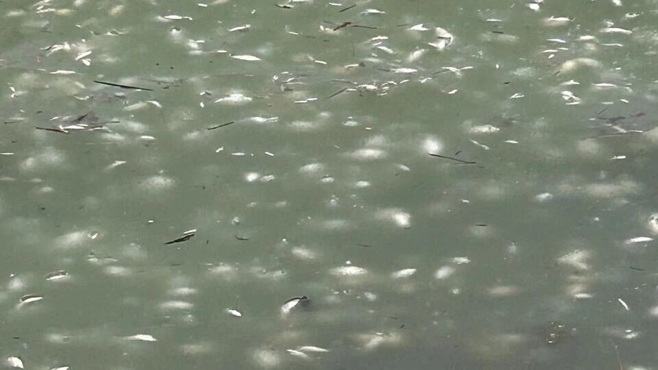     Источник: страница Вячеслава Гладкова в соцсети