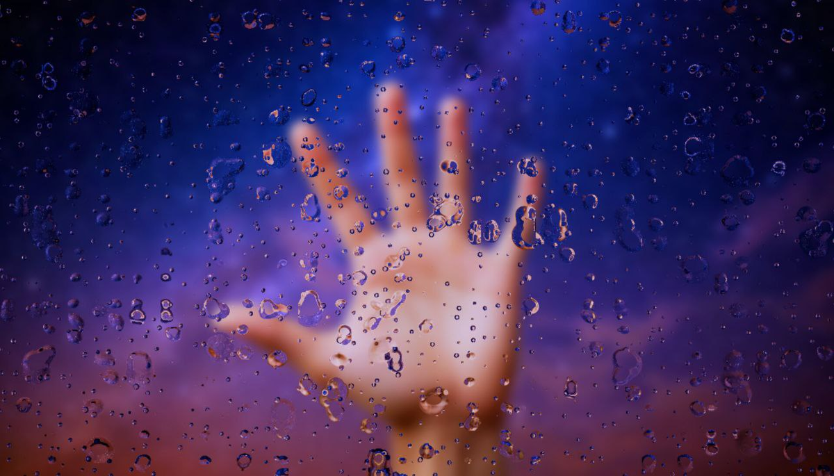 фото из интернета