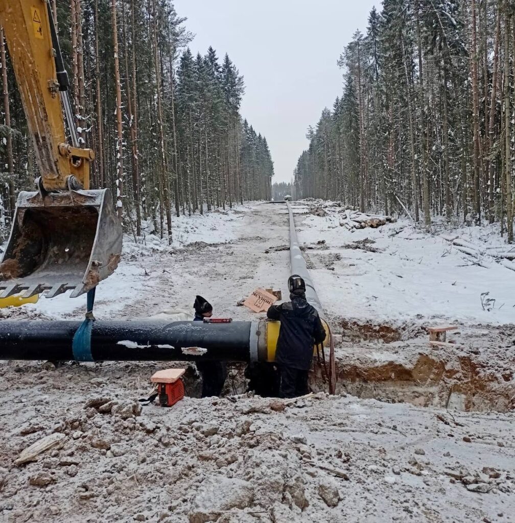    Фото: Дмитрий Махонин / Телеграм Алена Калашникова