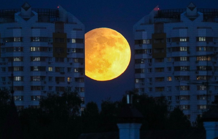    Сергей Булкин/NEWS.ru