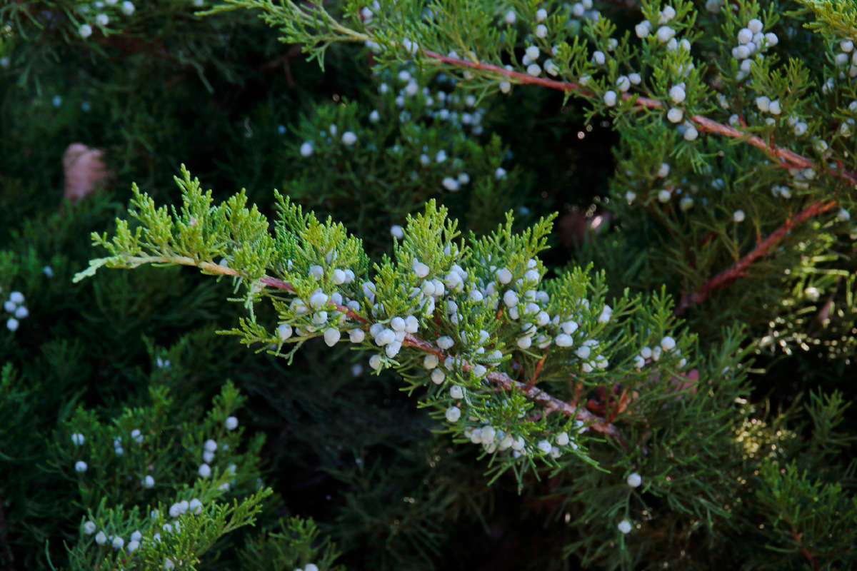 Designed by Freepik. Источник: www.freepik.com