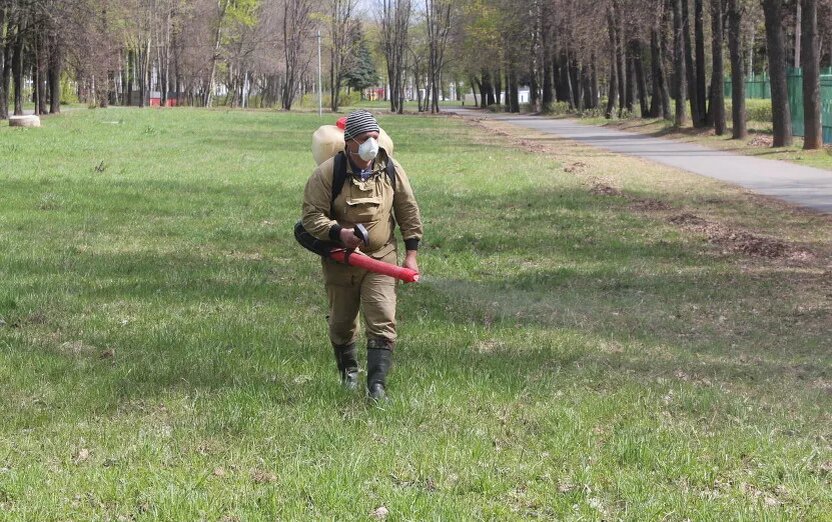    Обработка от клещей начнется в Ижевске во второй половине апреля