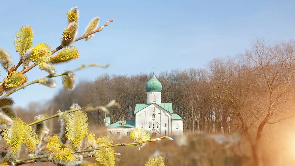    Фото: ju_see/Shutterstock/Fotodom