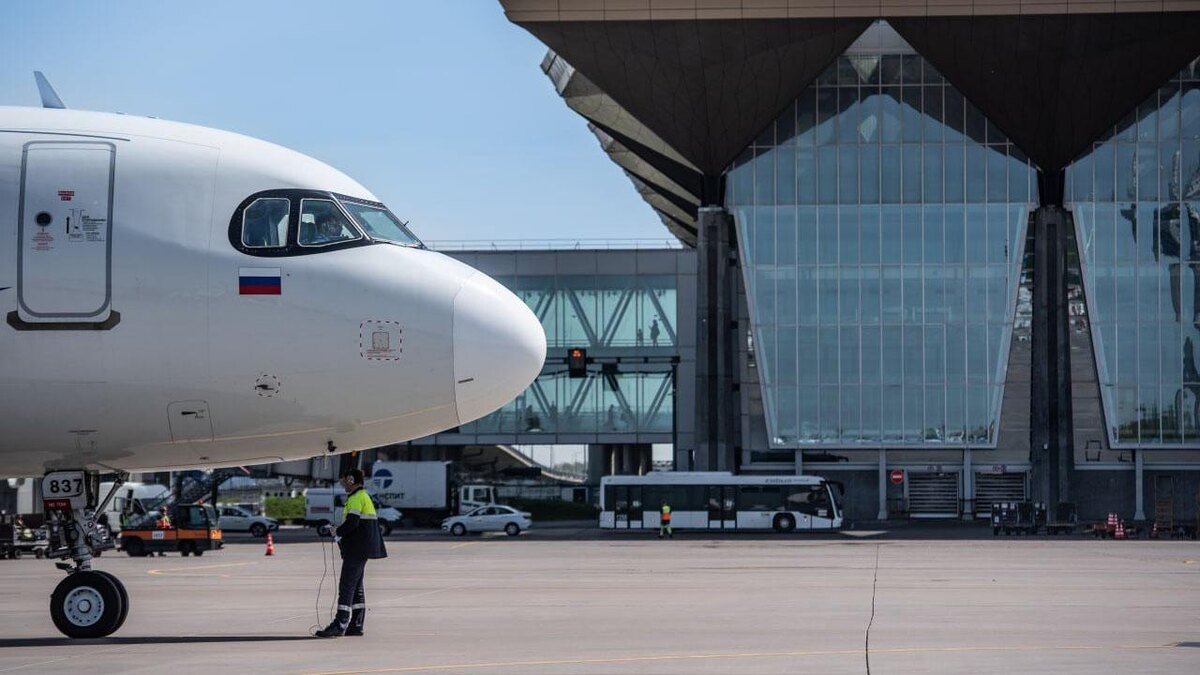    Фото: t.me/pulkovo_led