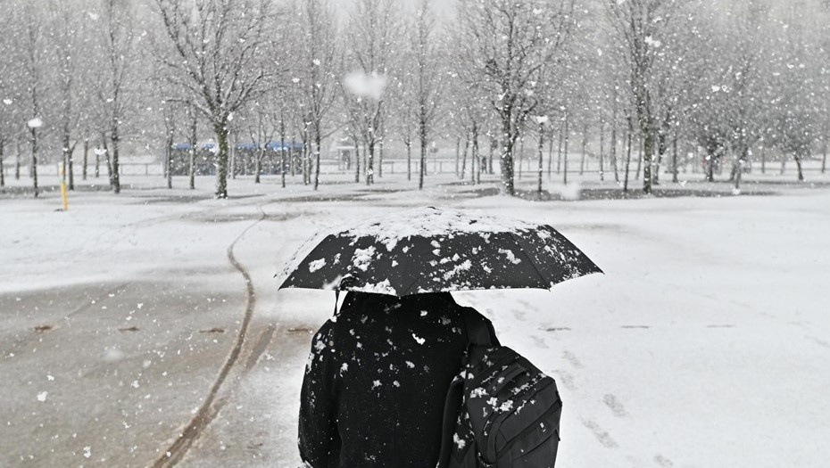    Автор фото: Ермохин Сергей