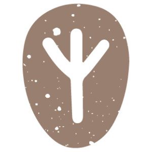  Руна Альгиз