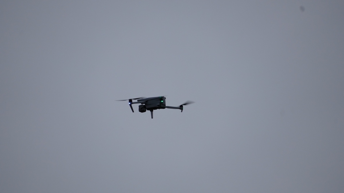 Автор: Светлана Мулыкина📷
