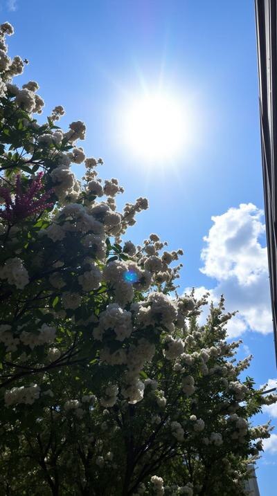 Создано в нейросети