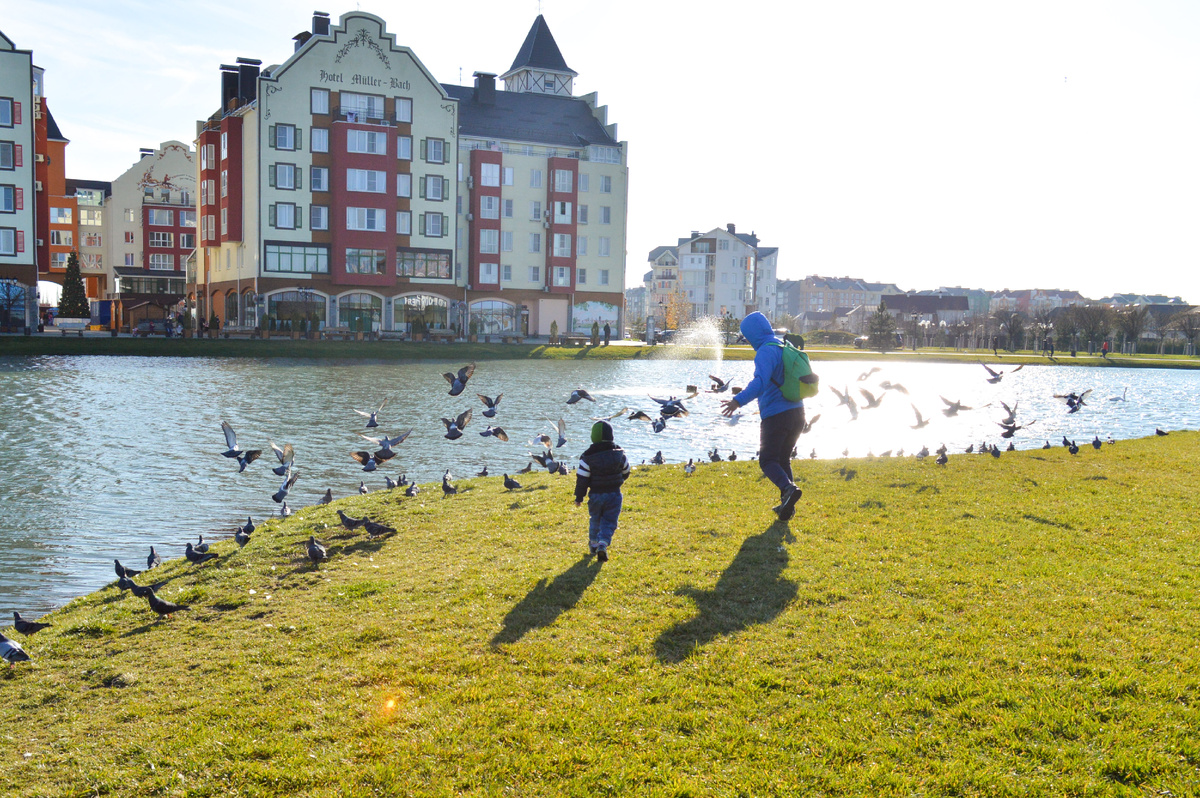 2017 год. Немецкая деревня г.Краснодар