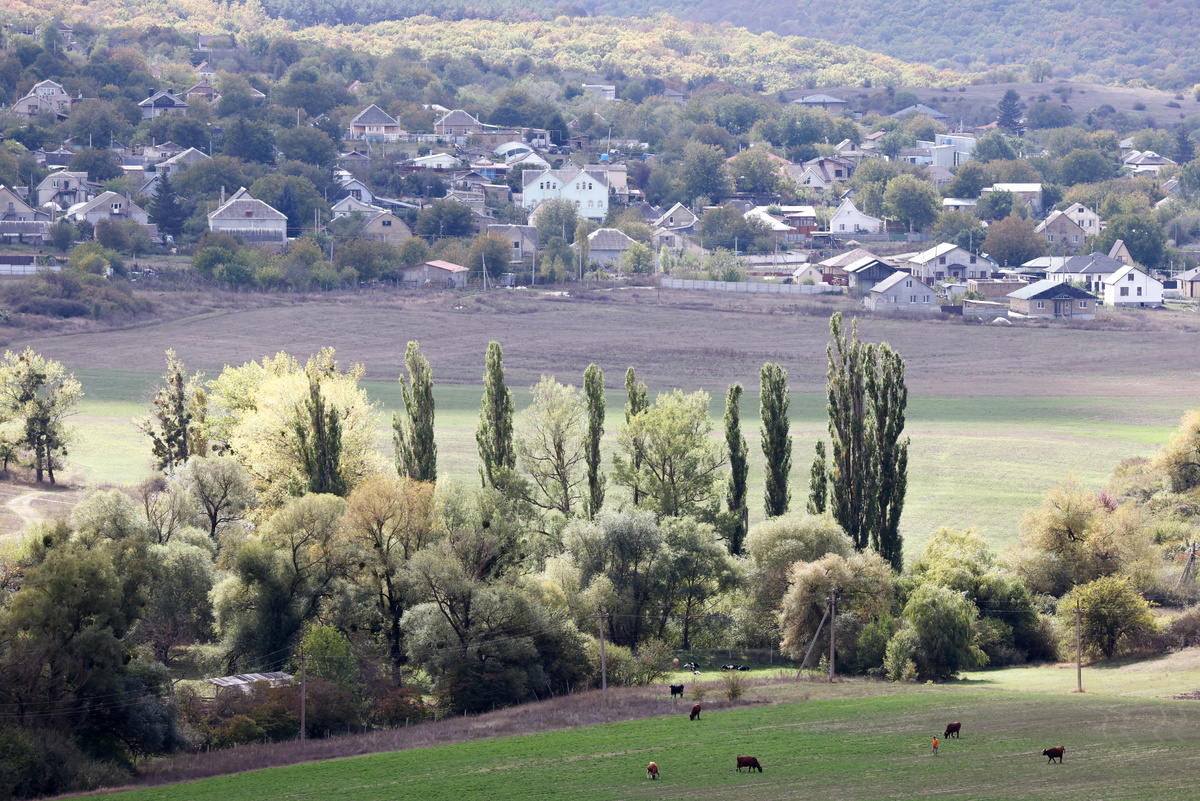    Источник: Сергей Мальгавко/ТАСС