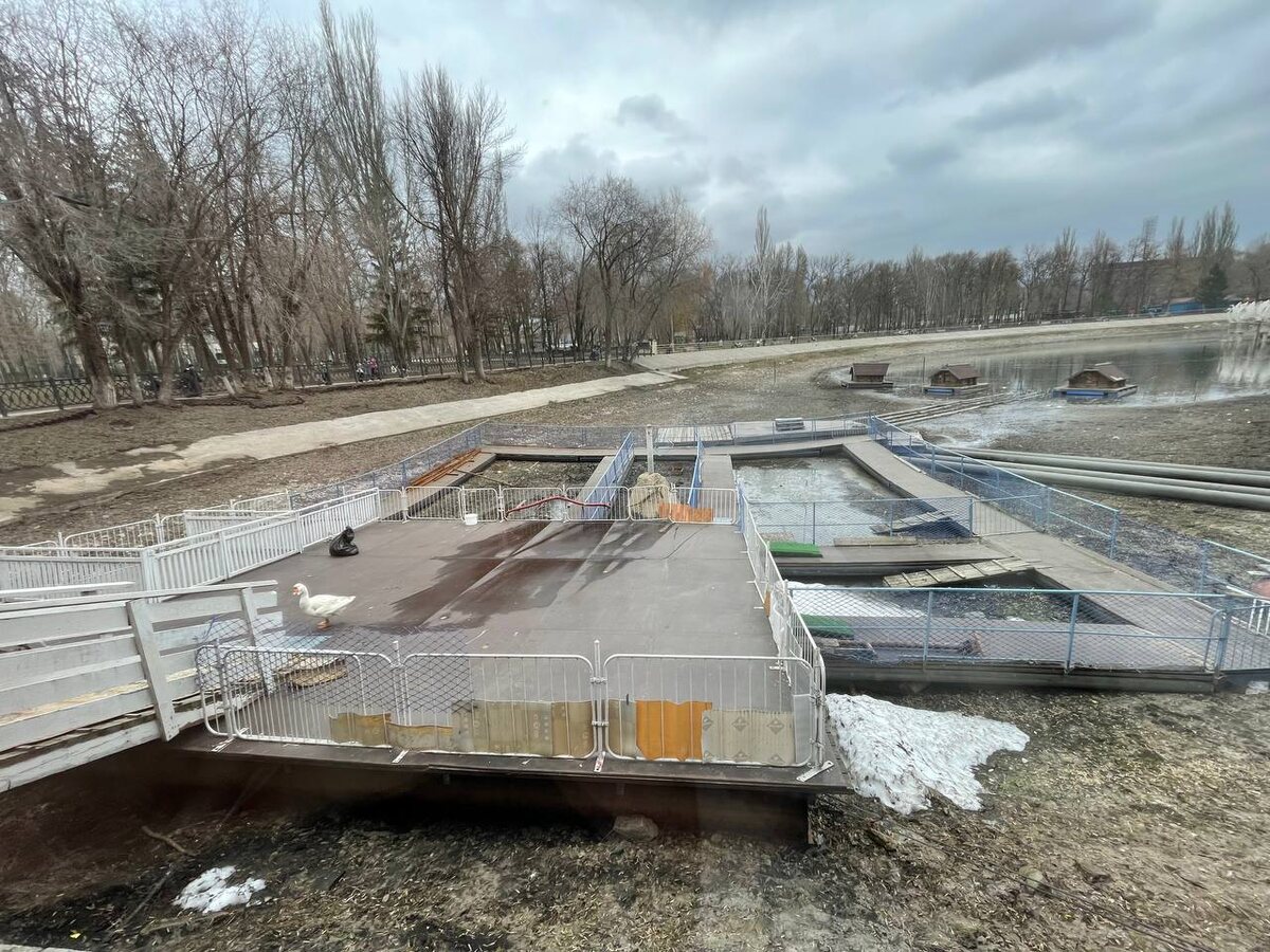 Фото: телеграм-канал депутата от КПРФ Владимира Зимарова