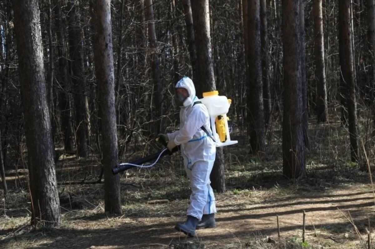    В Ижевске во второй половине апреля начнётся обработка от клещей и мышей