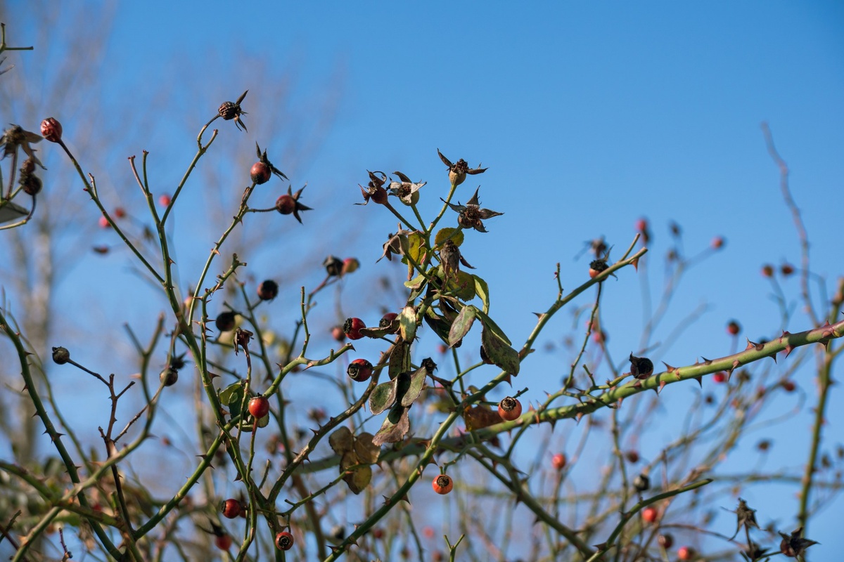 Фото: maks_d / Unsplash