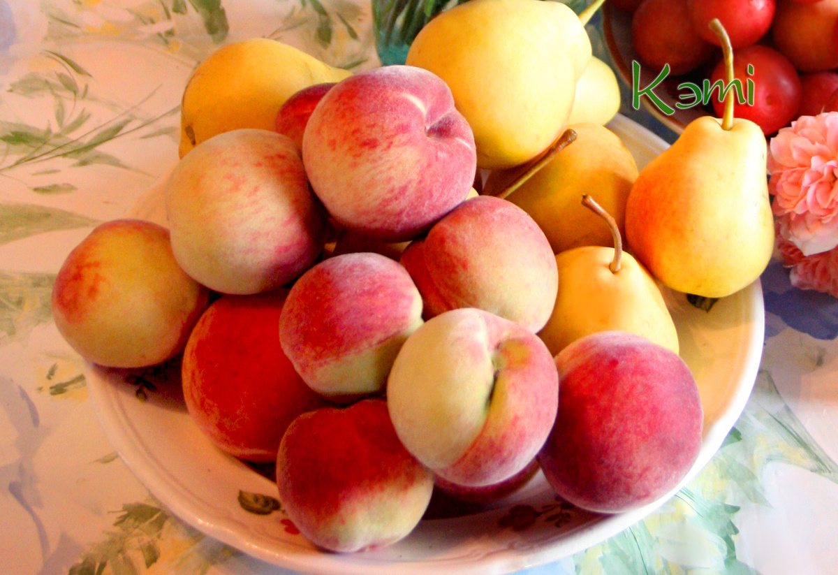 Мой ранний персик сорта Гринсборо. 26 июля.