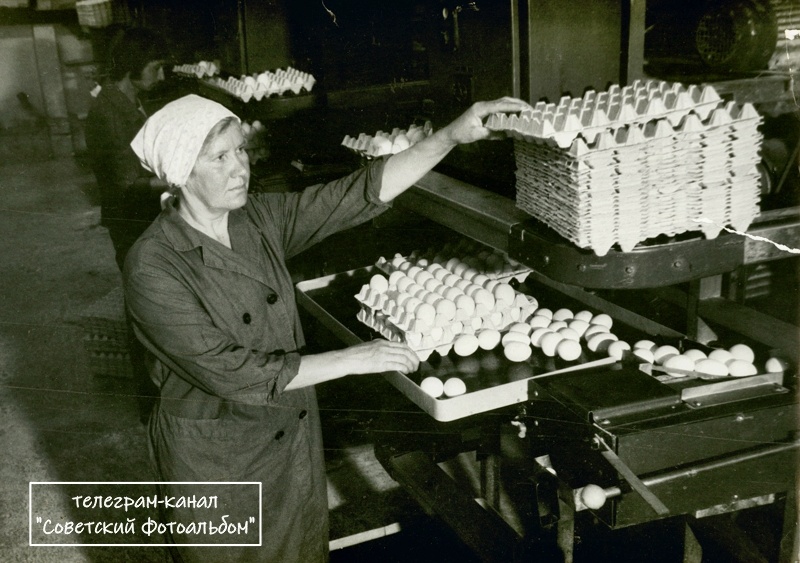 Фото из открытых источников