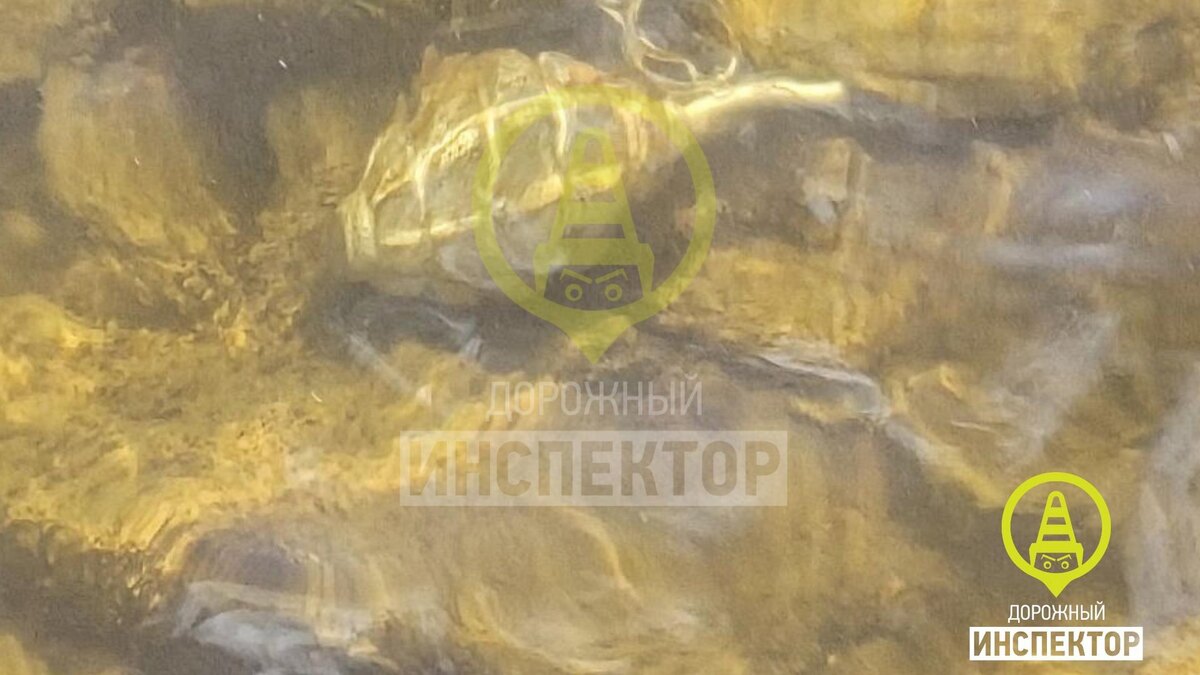    Фото: vk.com/dorinspb