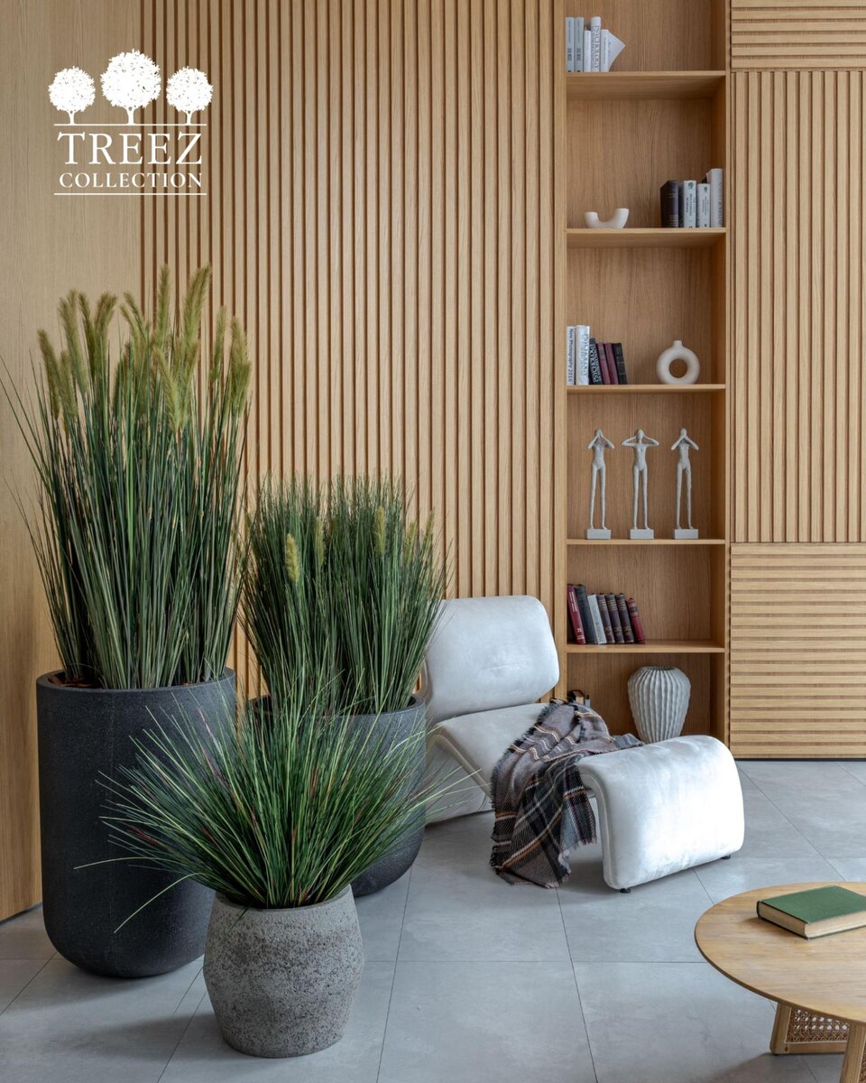 Кашпо и растения Treez Collection