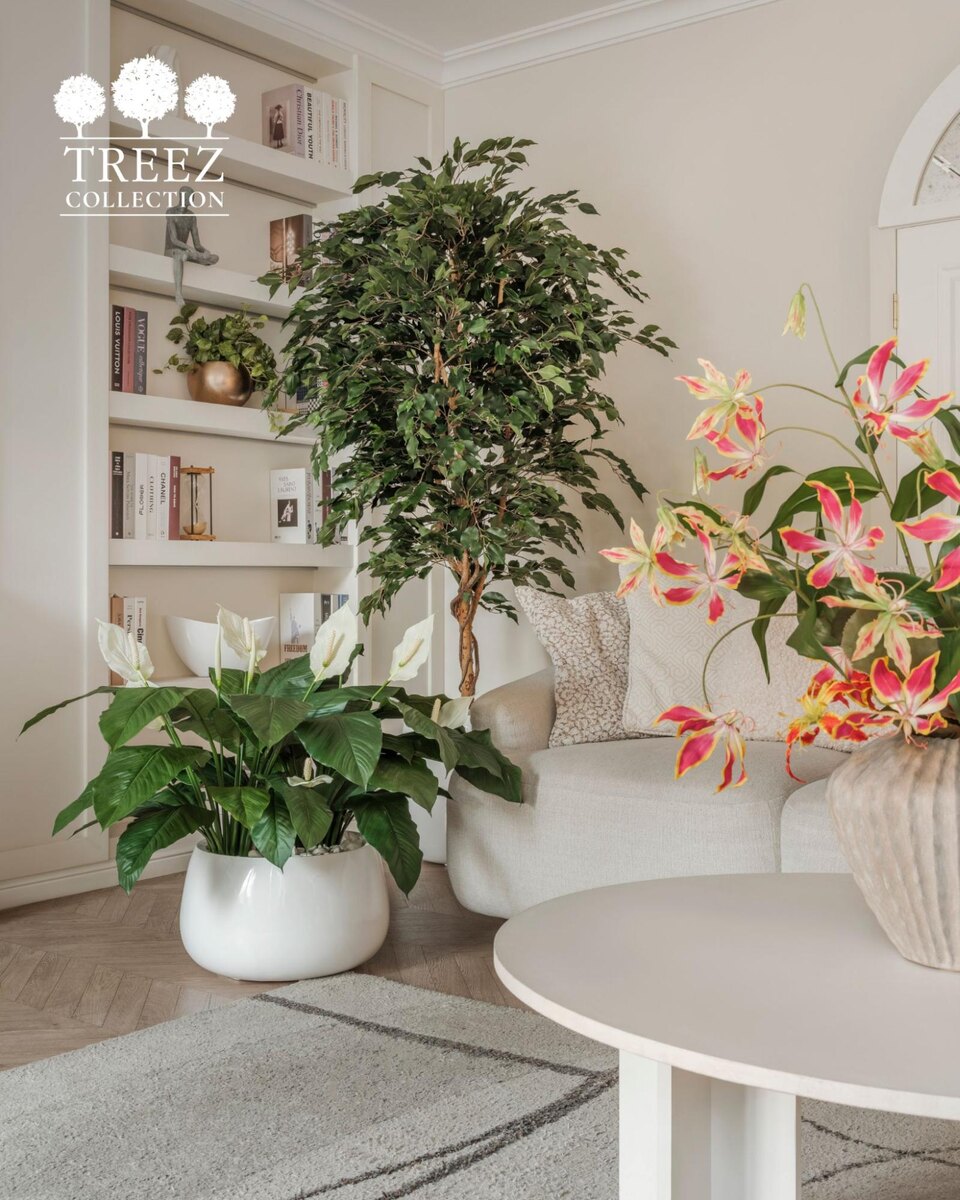 Кашпо и растения Treez Collection