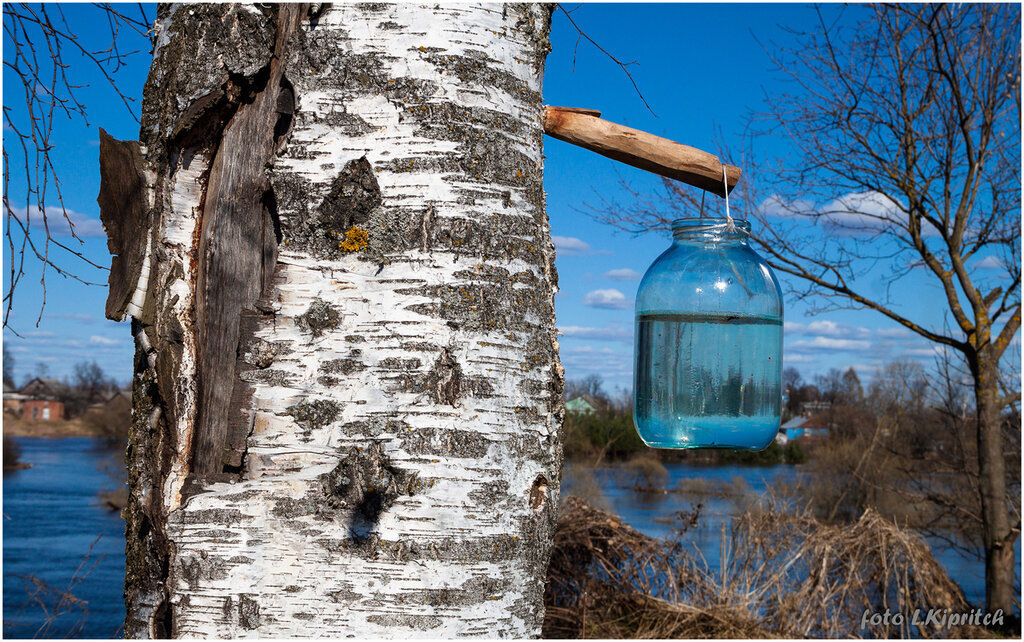 Капнет мне от Дзена или нет?
