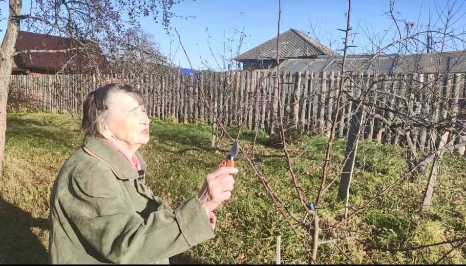 7 неотложных дачных работ апреля: полный чек-лист для Урала и Сибири