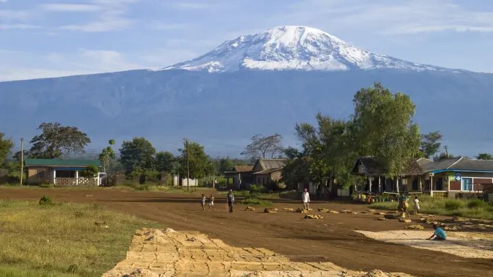 Фото: Ulrich Doering/imageBROKER.com/Globallookpress