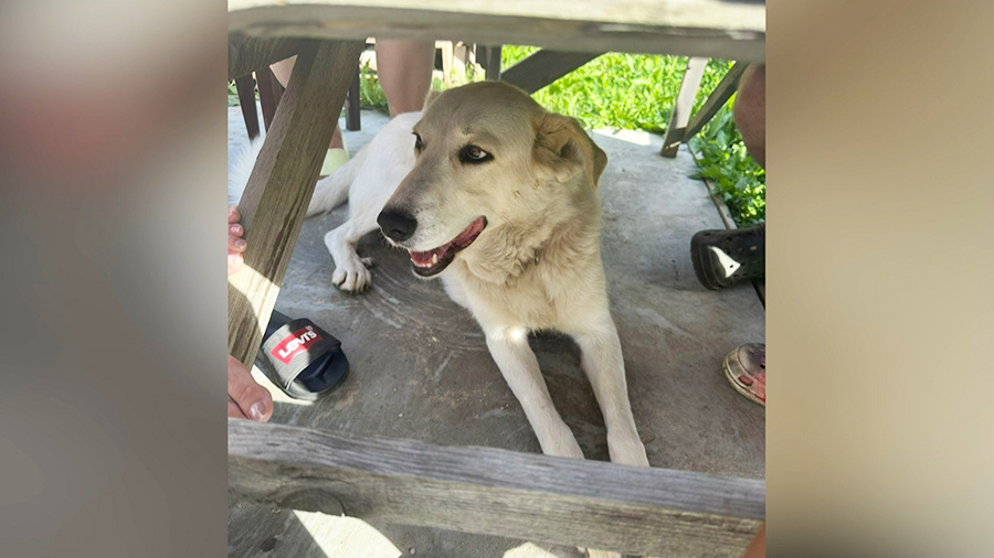    © АО "ТВ Центр"