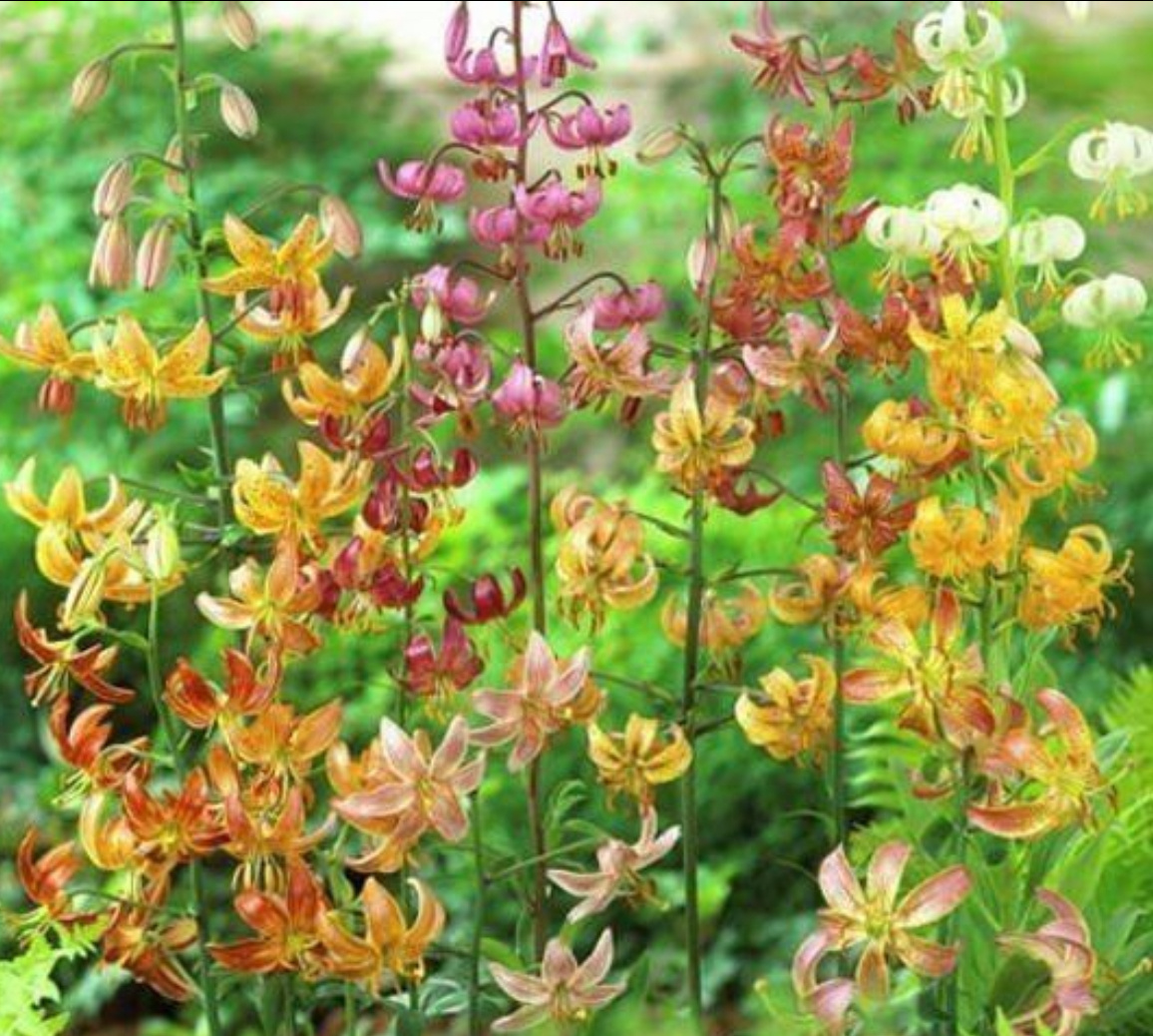 Вот таким я впечатлилась. Фото не моё, Pinterest выручил