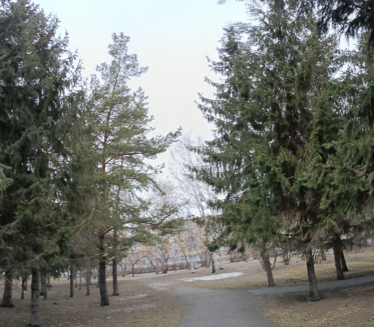 На просторах моего мрачного города. Фотография автора, апрель 2025 года. 