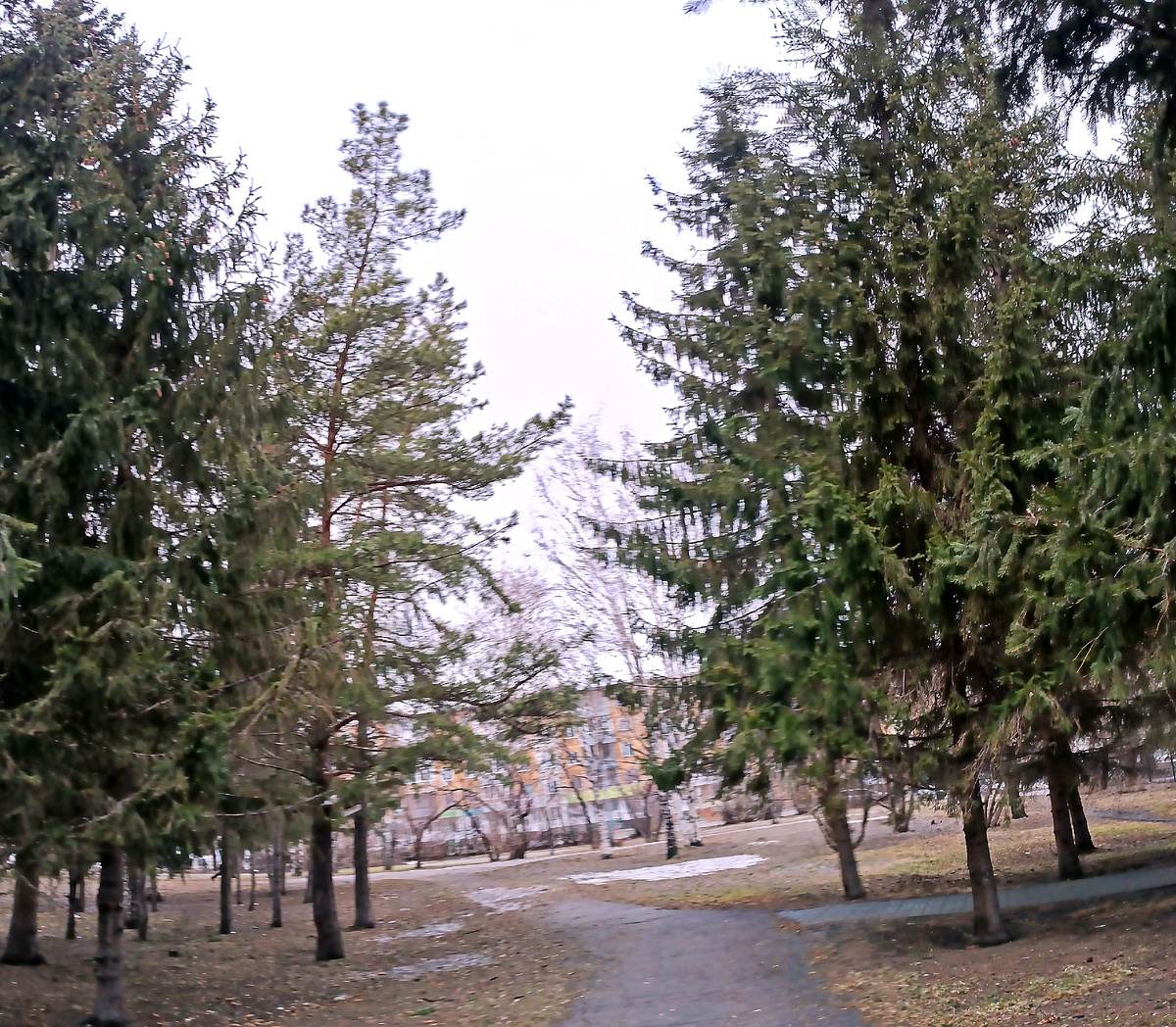 Где-то на просторах моего пасмурного города. Фотография автора, апрель 2025 года. 