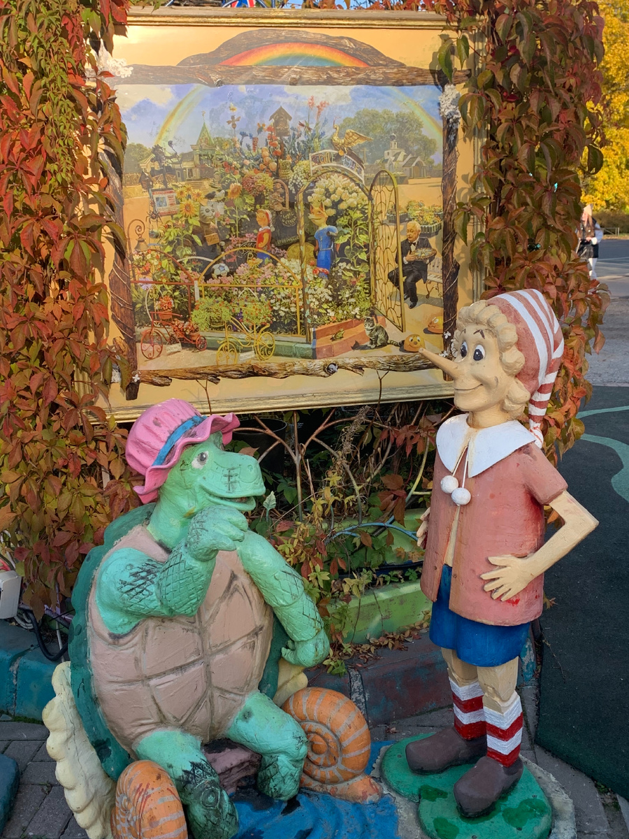 Сестрорецк 