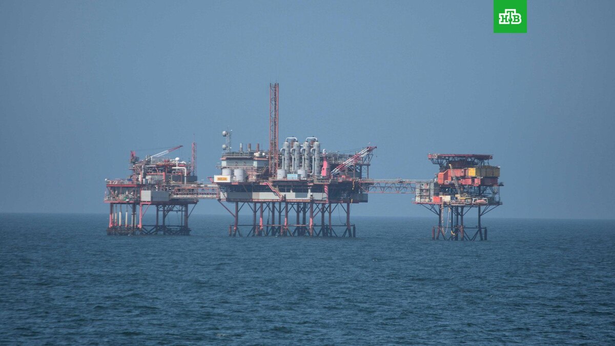    Фото: Rob Barber / unsplash.com