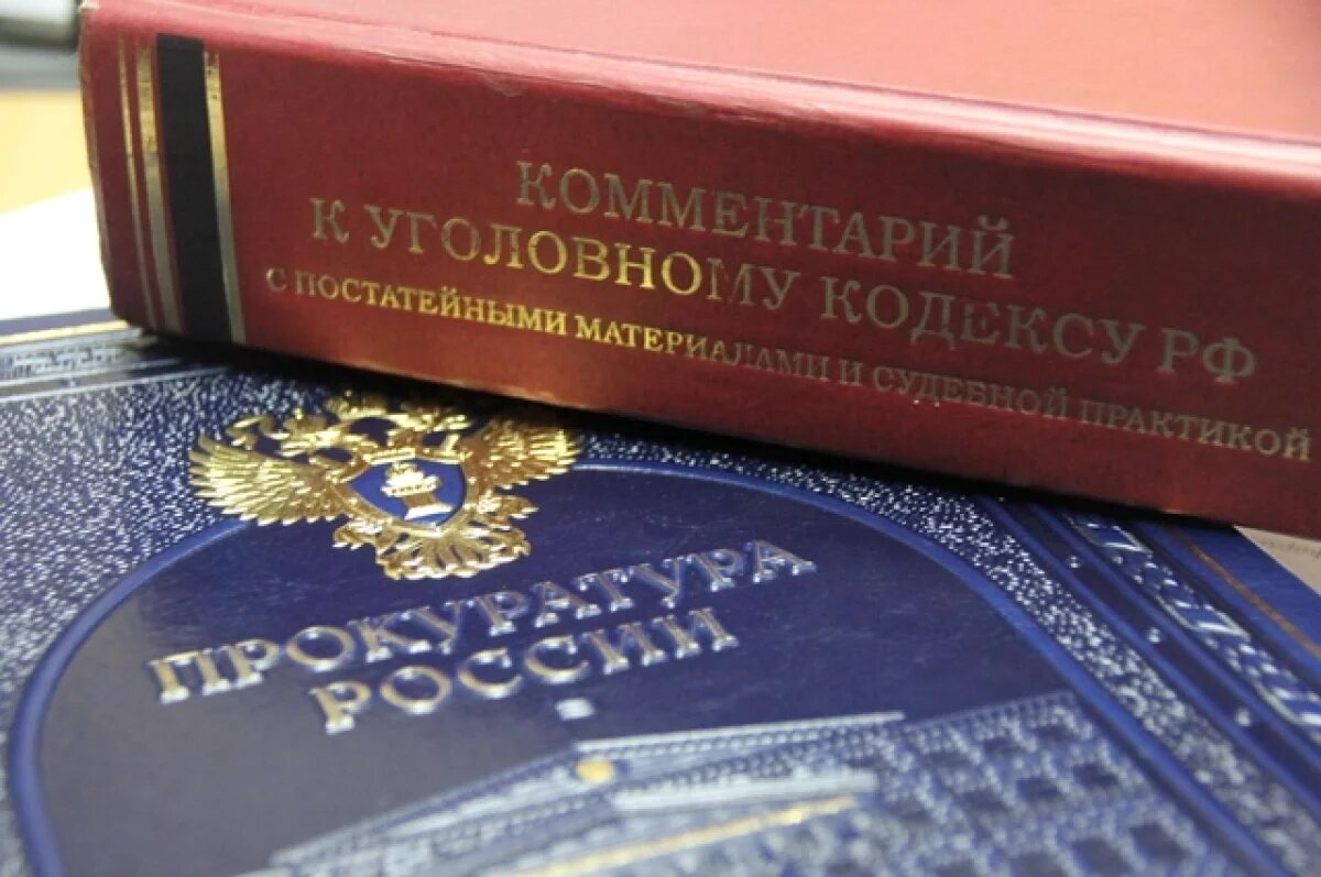    Адвокат Губайдулиной настаивает на смягчении наказания, ссылаясь на СВО