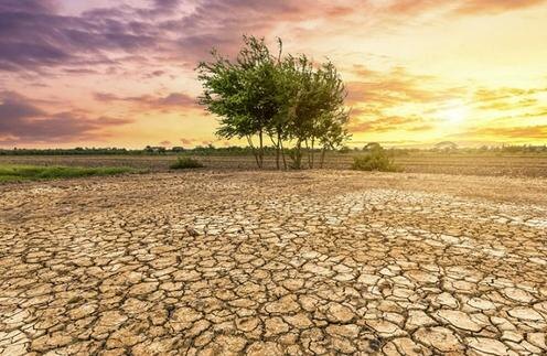 Фото с сайта e-cis.info