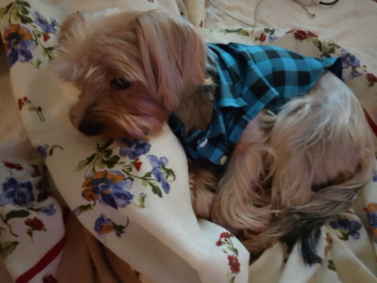 Август 2023 личный архив 