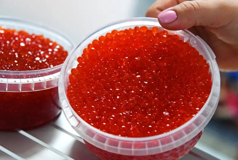     © РИА Новости. Виталий Аньков