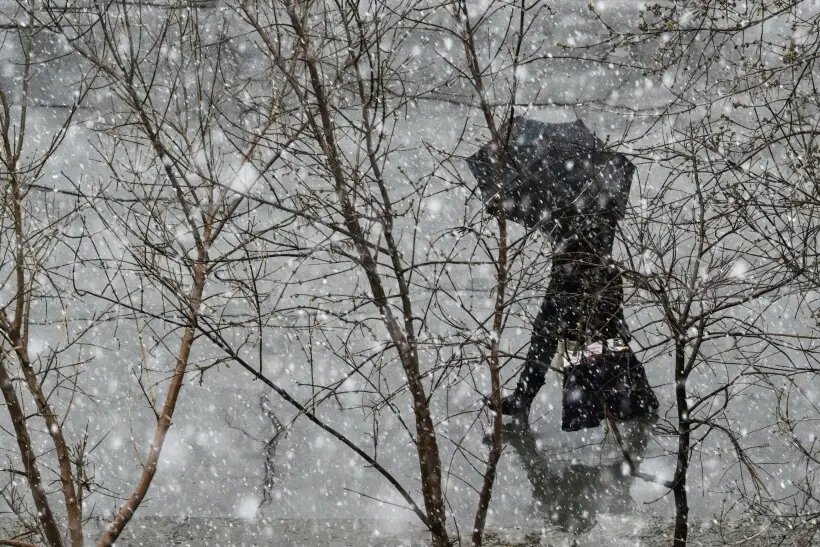     © РИА Новости. Александр Кряжев