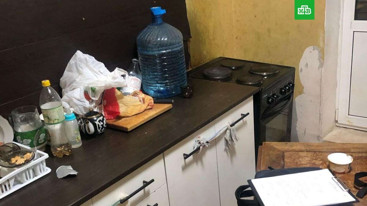    Фото: mosoblproc / t.me