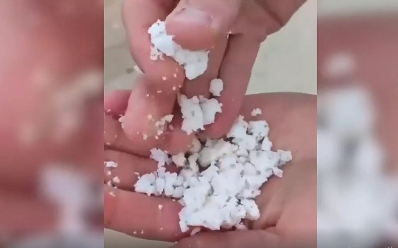    Фото: соцсети