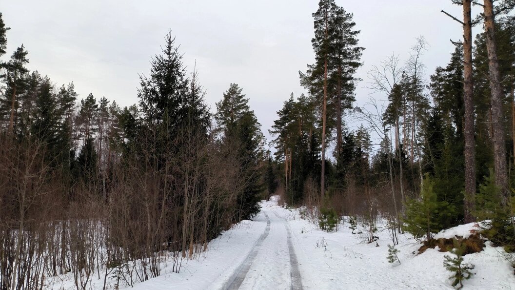    фото: Maksim Konstantinov/Global Look Press