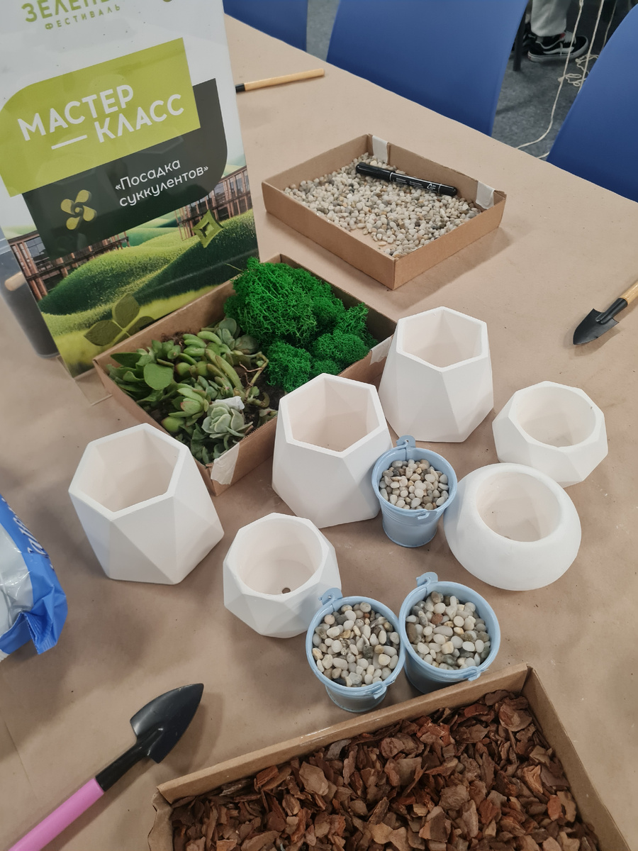 Посадка суккулентов на ЗЕЛЕНОМ ФЕСТИВАЛЕ в Крыму на территории ТАВРИДА.АРТ