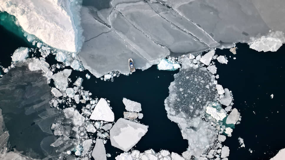 Фото: Sarah Meyssonnier / Reuters