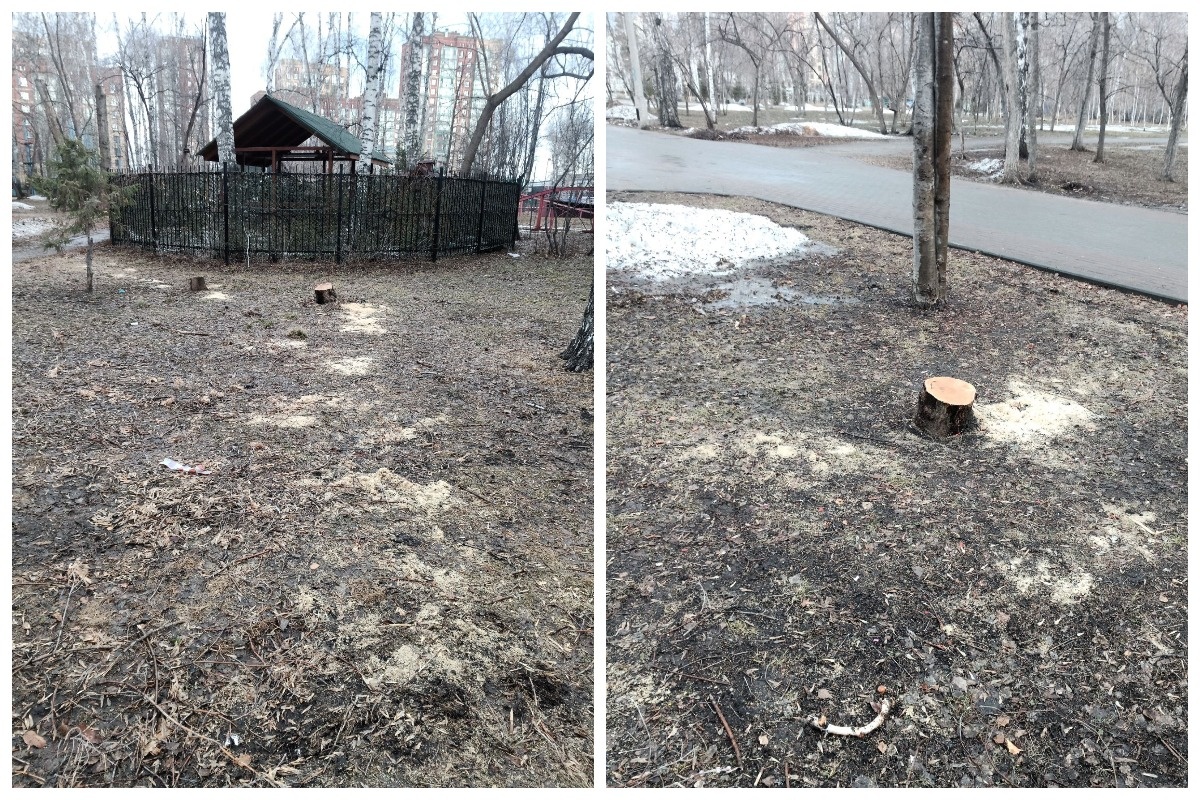    Фото: Сергей Титов