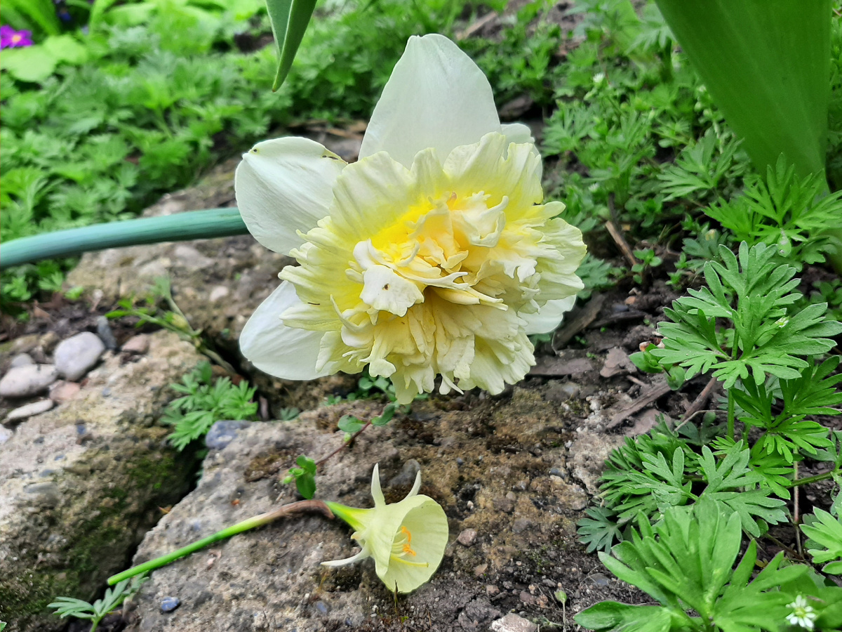 И это он ещё лежит на переднем плане...