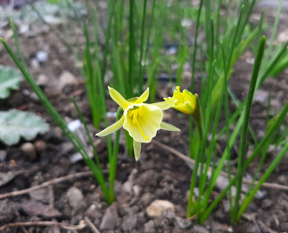 26 марта 2025 года