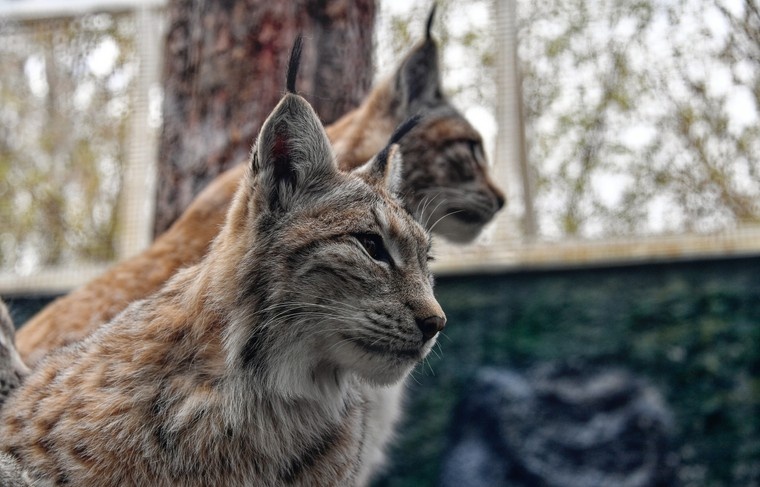    Komsomolskaya Pravda/Global Look Press