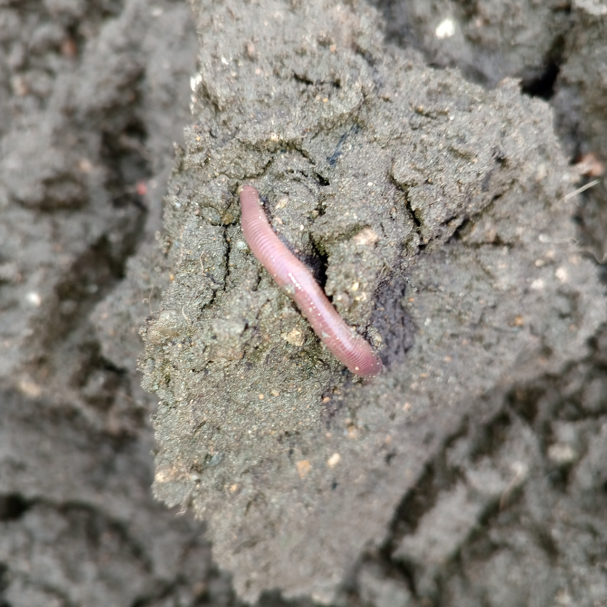 Это он сьёжился😀