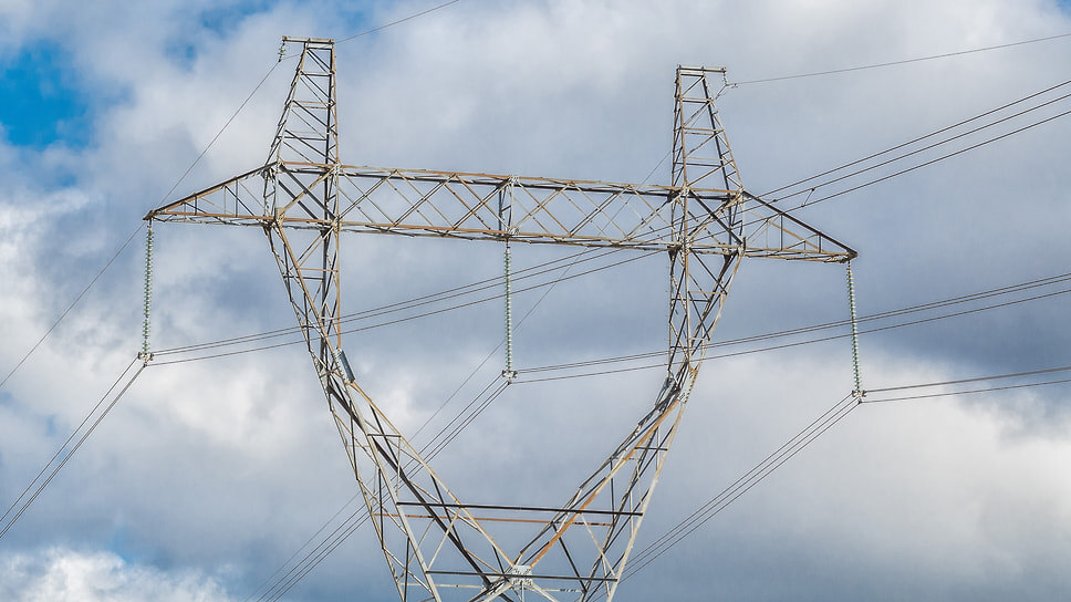 Фото: Олег Харсеев / Коммерсантъ